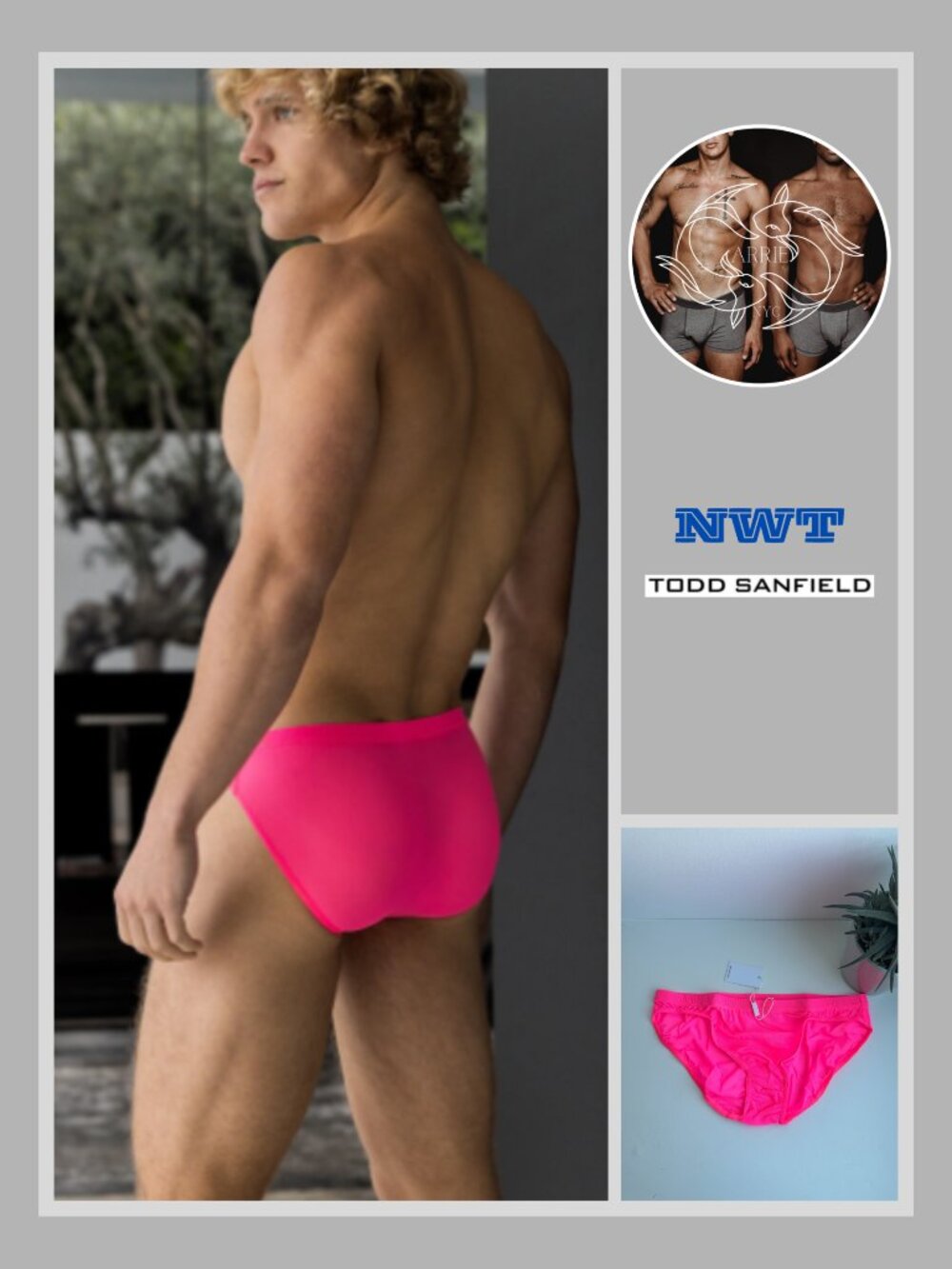 Todd Sanfield - Minimal Mesh Bikini Brief - Hot Pink (M)